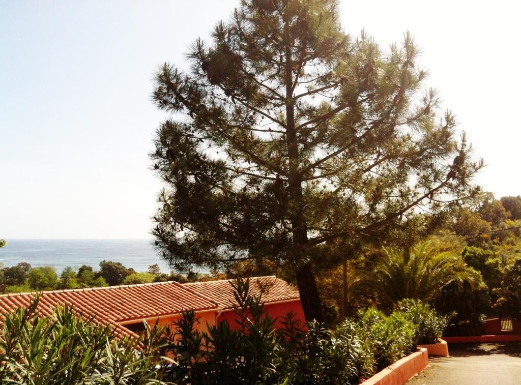 Hotel Residence San Pieru Tarcu Zewnętrze zdjęcie