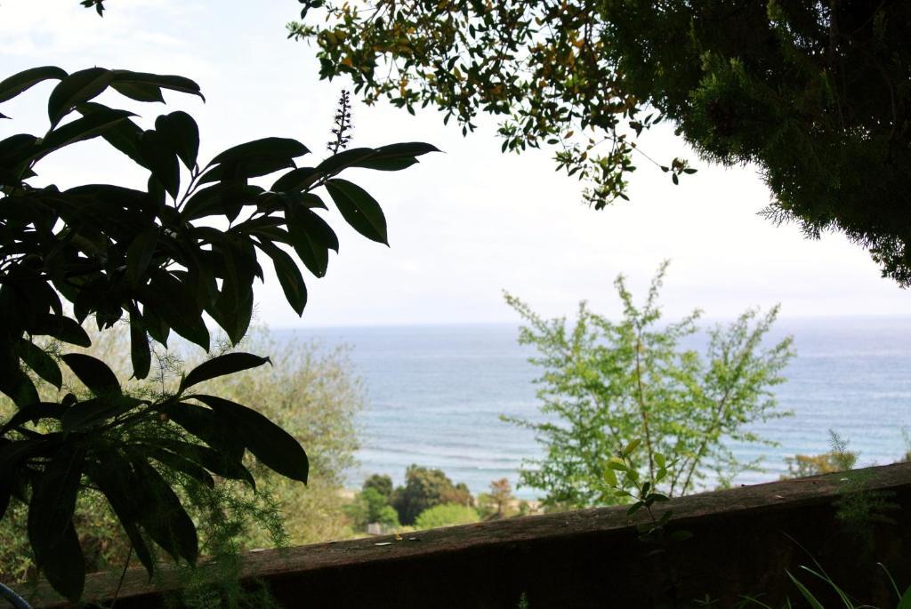 Hotel Residence San Pieru Tarcu Zewnętrze zdjęcie