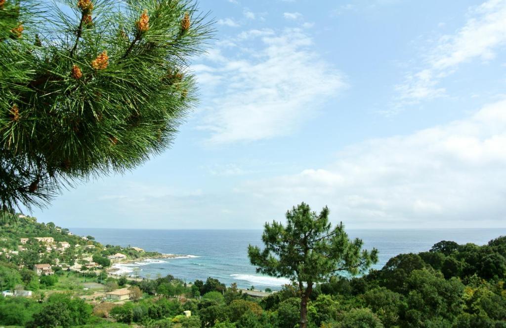 Hotel Residence San Pieru Tarcu Zewnętrze zdjęcie