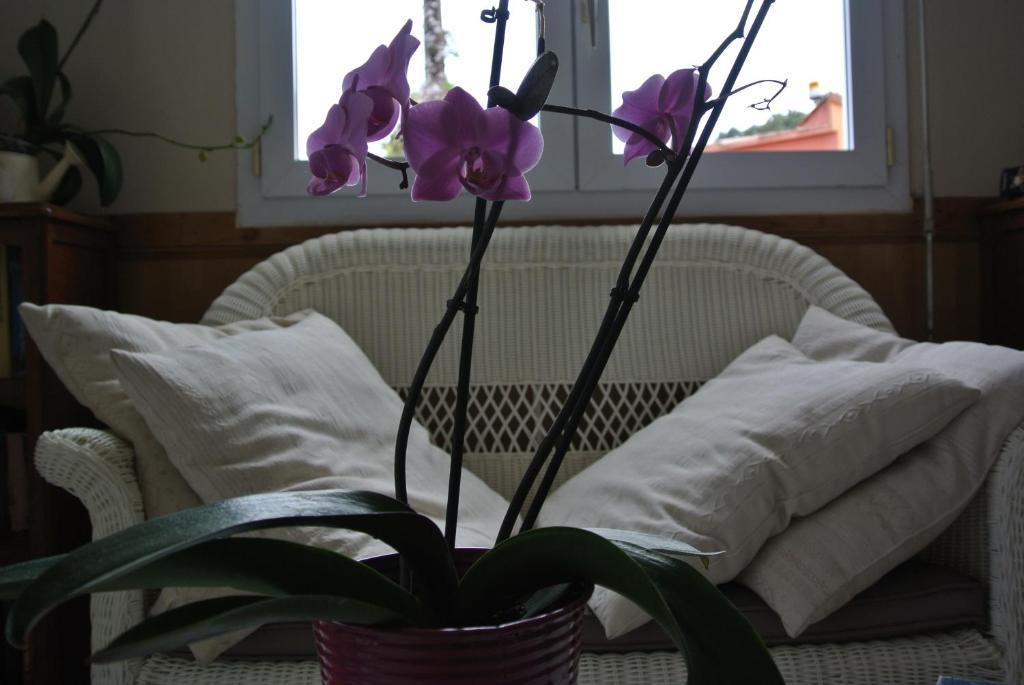 Hotel Residence San Pieru Tarcu Pokój zdjęcie