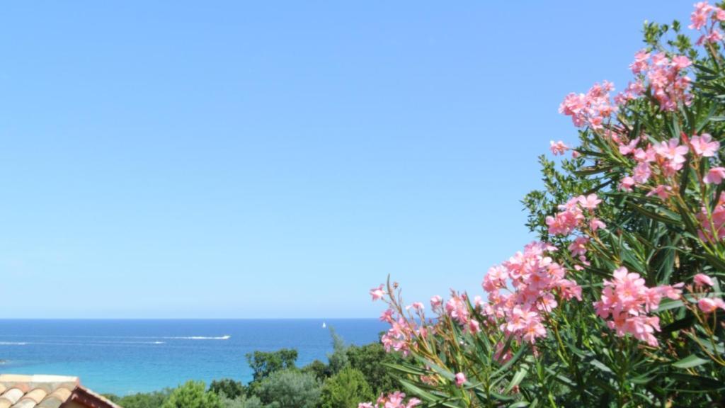 Hotel Residence San Pieru Tarcu Pokój zdjęcie
